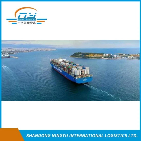 DDU 中国からチェコ共和国への海上輸送の DDP スペシャリスト