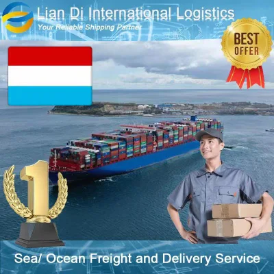 プロの海上輸送、海上貨物運送業者、中国からルクセンブルクへの輸送サービス
